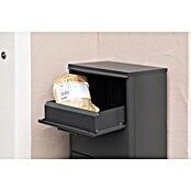 Westmann Paketbox Pepe (Anthrazit, Metall, B 50 x H 114 x T 39 cm) | BAUHAUS