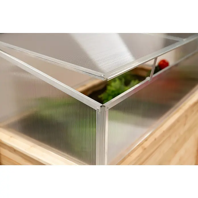 Westmann Frühbeet-Aufsatz Genus 100 - Passend für: Westmann Hochbeet Genus 100, L x B x H: 95 x 62 x 41 cm - Kleines Gewächshaus mit transparenten Polycarbonatplatten, Aluminiumrahmen und Holzsockel. Der Deckel ist offen und zeigt Pflanzen und eine Tomate.