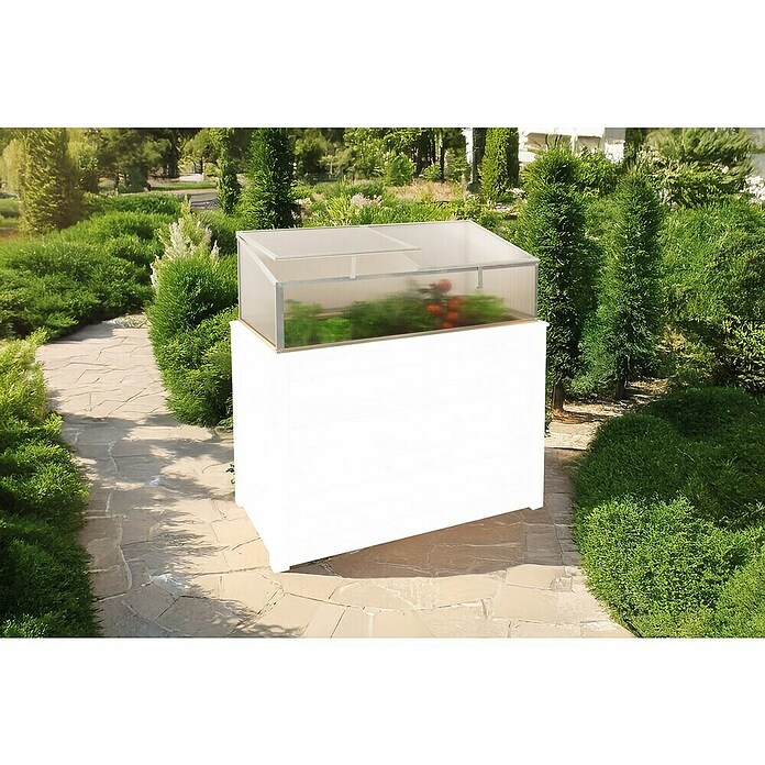 Westmann Frühbeet-Aufsatz Genus 100 (Passend für: Westmann Hochbeet Genus 100, L x B x H: 95 x 62 x 41 cm) | BAUHAUS