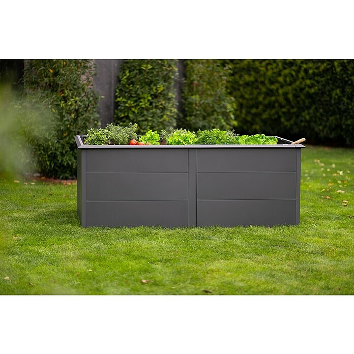Westmann Hochbeet Primus XL (100 x 200 x 77 cm, Stahl, Anthrazit) | BAUHAUS