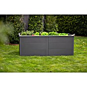 Westmann Hochbeet Primus XL (100 x 200 x 77 cm, Stahl, Anthrazit) | BAUHAUS