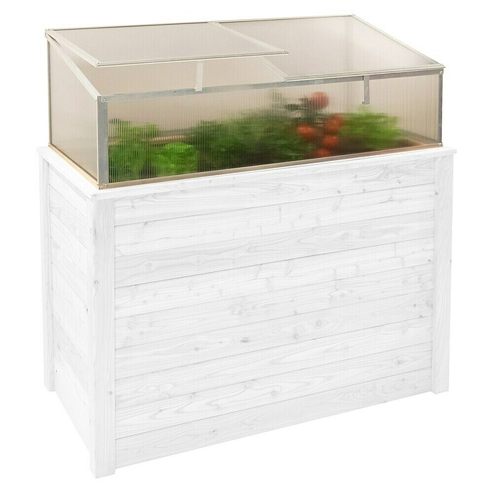 Westmann Frühbeet-Aufsatz Genus 100 (Passend für: Westmann Hochbeet Genus 100, L x B x H: 95 x 62 x 41 cm) | BAUHAUS