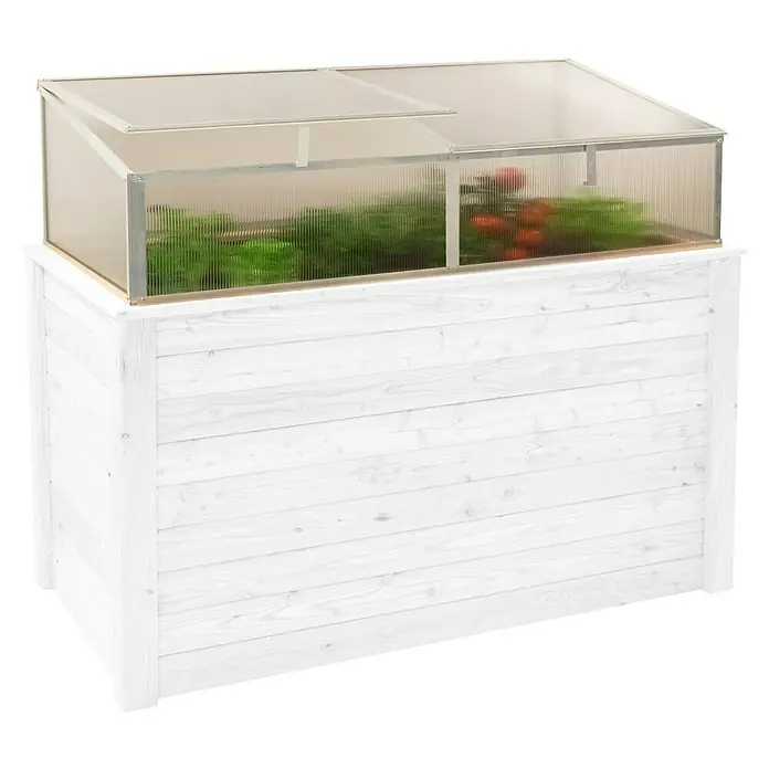 Westmann Frühbeet-Aufsatz Genus 170 - Passend für: Westmann Hochbeet Genus 170, L x B x H: 165 x 85 x 41 cm - Weißes Holzhochbeet mit transparenter Gewächshausabdeckung, bepflanzt.