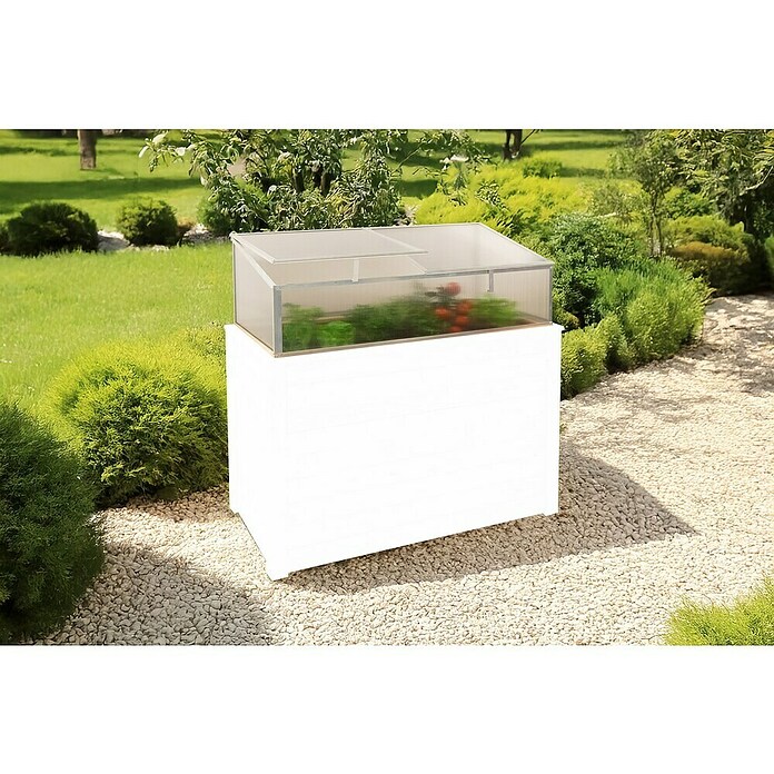 Westmann Frühbeet-Aufsatz Genus 130 (Passend für: Westmann Hochbeet Genus 130, L x B x H: 125 x 62 x 41 cm) | BAUHAUS