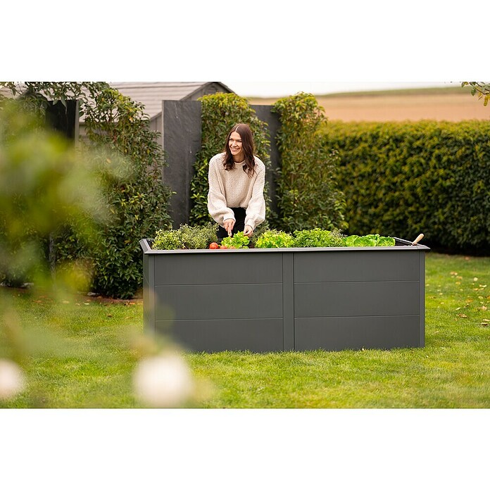 Westmann Hochbeet Primus XL (100 x 200 x 77 cm, Stahl, Anthrazit) | BAUHAUS
