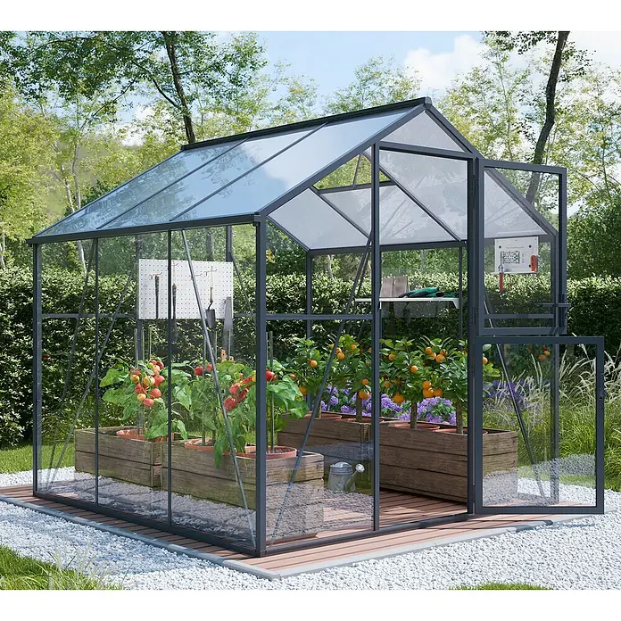 Geo garden Gewächshaus Paris 2 - Außenmaß inkl. Dachüberstand (B x T): 236,6 x 232,1 cm, Anthrazit - Ein modernes dunkelgraues Gewächshaus mit klaren Scheiben, gefüllt mit Pflanzen und Gartengeräten, auf einer Holzterrasse im Garten.