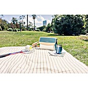 Campingaz Hladilna torba Fold' N Cool Minimaxi  (30 x 17 x 24 cm, Modra, Bež, 10 l) | 8330 - Kühlboxen/Kühlzubehör | ICJA - Campingartikel | ICJ - Campingartikel | IC - Freizeit im Garten | I - Stadtgarten | BAUHAUS