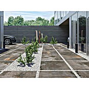 Terrassenfliese Metallic 2.0 (60 x 120 x 2 cm, Anthrazit, Matt) | BAUHAUS