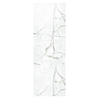 Dumawall+ Revestimiento de pared de PVC Eclipse Gloss (260 x 90 cm, Blanco)