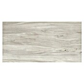 Terrassenfliese Foresta (40 x 80 x 2 cm, Grigio, Matt) | BAUHAUS