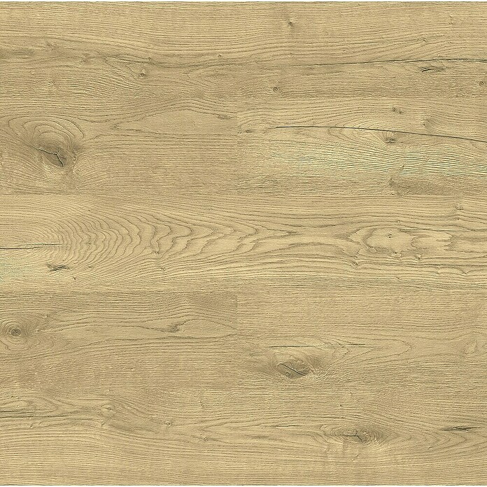 LOGOCLIC Laminado Roble Alba (1.380 x 193 x 8 mm, Marrón, AC5) | BAUHAUS
