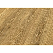 LOGOCLIC Laminado Roble Amalfi (1.380 x 193 x 8 mm, Marrón, AC4) | BAUHAUS