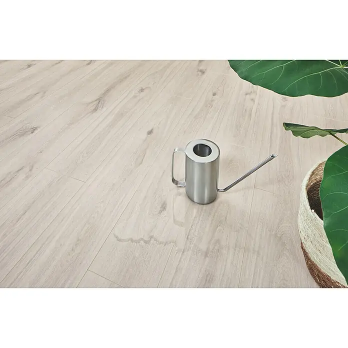LOGOCLIC Aquaprotect Laminat - Beach Oak, Landhausdiele, 1.288 x 195 x 8 mm - Gießkanne aus Edelstahl auf hellem Holzboden mit verschüttetem Wasser, neben einer Pflanze.