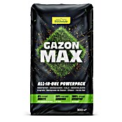 ECOstyle Gazonmest GazonMax (15 kg, 300 m²) | BAUHAUS