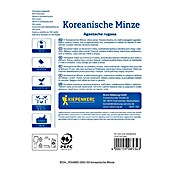 Kiepenkerl Zeliščna semena Korejska meta Seoul  (Agastache rugosa, Čas setve: Marec, Čas žetve: Julij) | 8127 - Feinsämereien in PG Marke | IBYA - Sämereien | IBY - Sämereien | IB - Grünpflanzen/Sämereien | I - Stadtgarten | BAUHAUS