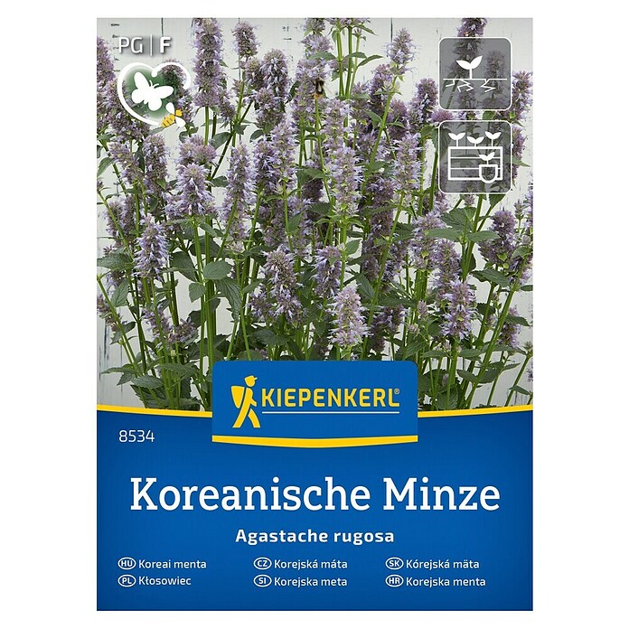 Kiepenkerl Zeliščna semena Korejska meta Seoul  (Agastache rugosa, Čas setve: Marec, Čas žetve: Julij) | 8127 - Feinsämereien in PG Marke | IBYA - Sämereien | IBY - Sämereien | IB - Grünpflanzen/Sämereien | I - Stadtgarten | BAUHAUS