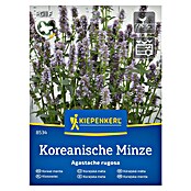 Kiepenkerl Zeliščna semena Korejska meta Seoul  (Agastache rugosa, Čas setve: Marec, Čas žetve: Julij) | 8127 - Feinsämereien in PG Marke | IBYA - Sämereien | IBY - Sämereien | IB - Grünpflanzen/Sämereien | I - Stadtgarten | BAUHAUS