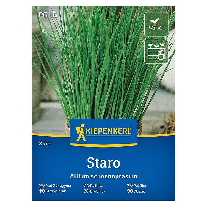 Kiepenkerl Zeliščna semena Drobnjak Staro  (Allium schoenoprasum, Čas setve: Marec, Čas žetve: Maj) | 8127 - Feinsämereien in PG Marke | IBYA - Sämereien | IBY - Sämereien | IB - Grünpflanzen/Sämereien | I - Stadtgarten | BAUHAUS