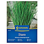 Kiepenkerl Zeliščna semena Drobnjak Staro  (Allium schoenoprasum, Čas setve: Marec, Čas žetve: Maj) | 8127 - Feinsämereien in PG Marke | IBYA - Sämereien | IBY - Sämereien | IB - Grünpflanzen/Sämereien | I - Stadtgarten | BAUHAUS