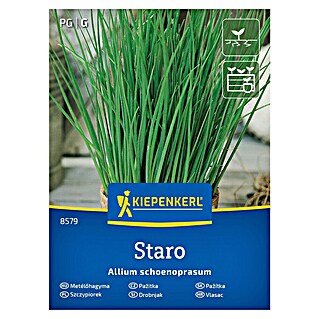 Kiepenkerl Zeliščna semena Drobnjak Staro (Allium schoenoprasum, Čas setve: Marec, Čas žetve: Maj)