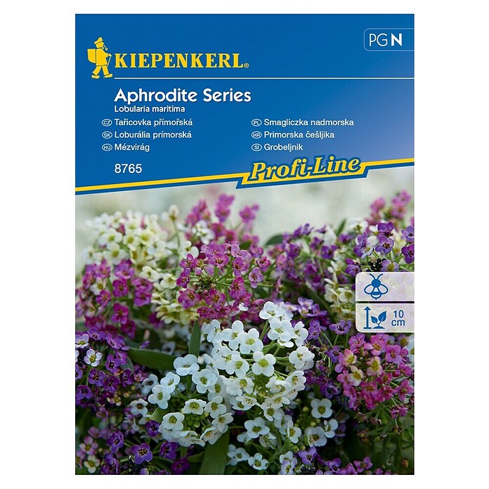 Kiepenkerl Cvetlična semena Grobeljnik  (Lobularia maritima, Večbarvno) | 8127 - Feinsämereien in PG Marke | IBYA - Sämereien | IBY - Sämereien | IB - Grünpflanzen/Sämereien | I - Stadtgarten | BAUHAUS
