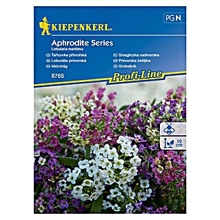 Kiepenkerl Cvetlična semena Grobeljnik (Lobularia maritima, Večbarvno)