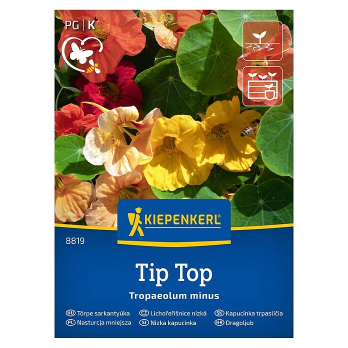 Kiepenkerl Mešana cvetlična semena Mala kapucinka Tip Top  (Tropaeolum minus, Večbarvna) | 8127 - Feinsämereien in PG Marke | IBYA - Sämereien | IBY - Sämereien | IB - Grünpflanzen/Sämereien | I - Stadtgarten | BAUHAUS
