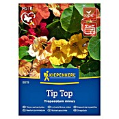 Kiepenkerl Mešana cvetlična semena Mala kapucinka Tip Top  (Tropaeolum minus, Večbarvna) | 8127 - Feinsämereien in PG Marke | IBYA - Sämereien | IBY - Sämereien | IB - Grünpflanzen/Sämereien | I - Stadtgarten | BAUHAUS