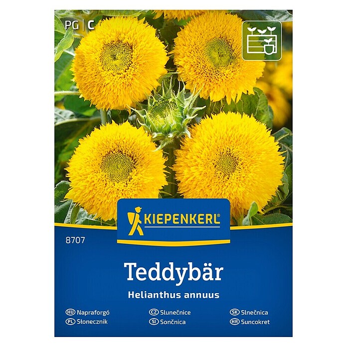 Kiepenkerl Cvetlična semena Sončnica Teddybär  (Helianthus annuus, Rumena) | 8127 - Feinsämereien in PG Marke | IBYA - Sämereien | IBY - Sämereien | IB - Grünpflanzen/Sämereien | I - Stadtgarten | BAUHAUS