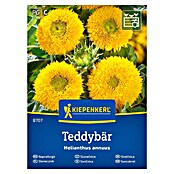 Kiepenkerl Cvetlična semena Sončnica Teddybär  (Helianthus annuus, Rumena) | 8127 - Feinsämereien in PG Marke | IBYA - Sämereien | IBY - Sämereien | IB - Grünpflanzen/Sämereien | I - Stadtgarten | BAUHAUS