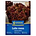Kiepenkerl Zelenjavna semena Solata Lollo Rossa 
