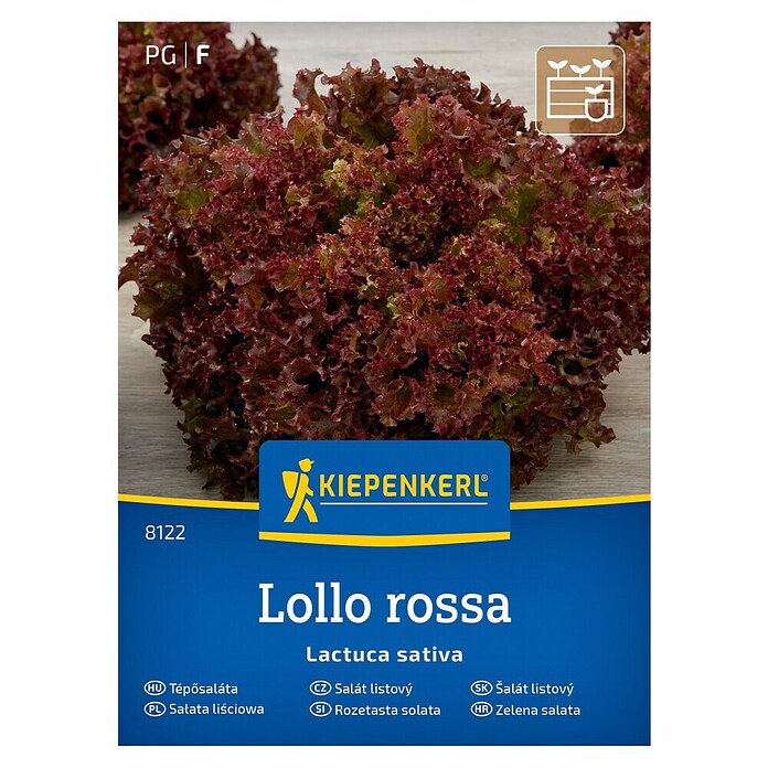 Kiepenkerl Zelenjavna semena Solata Lollo Rossa  (Lactuca sativa, Čas žetve: Maj) | 8127 - Feinsämereien in PG Marke | IBYA - Sämereien | IBY - Sämereien | IB - Grünpflanzen/Sämereien | I - Stadtgarten | BAUHAUS