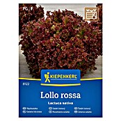Kiepenkerl Zelenjavna semena Solata Lollo Rossa  (Lactuca sativa, Čas žetve: Maj) | 8127 - Feinsämereien in PG Marke | IBYA - Sämereien | IBY - Sämereien | IB - Grünpflanzen/Sämereien | I - Stadtgarten | BAUHAUS