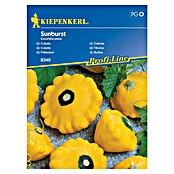 Kiepenkerl Zelenjavna semena Buča Sunburst F1  (Cucurbita pepo, Čas žetve: Julij) | 8127 - Feinsämereien in PG Marke | IBYA - Sämereien | IBY - Sämereien | IB - Grünpflanzen/Sämereien | I - Stadtgarten | BAUHAUS