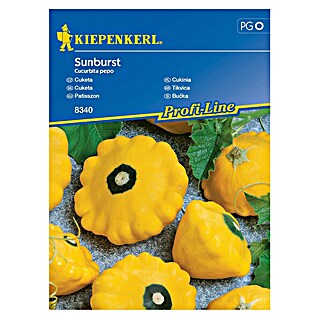 Kiepenkerl Zelenjavna semena Buča Sunburst F1 (Cucurbita pepo, Čas žetve: Julij)