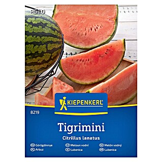 Kiepenkerl Sadna semena Lubenica Tigrimini (Citrillus lanatus, Čas žetve: Avgust)