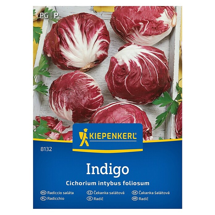 Kiepenkerl Zelenjavna semena Radič Indigo F1  (Cichorium intybus, Čas žetve: September) | 8127 - Feinsämereien in PG Marke | IBYA - Sämereien | IBY - Sämereien | IB - Grünpflanzen/Sämereien | I - Stadtgarten | BAUHAUS