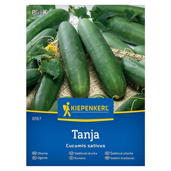 Kiepenkerl Zelenjavna semena Kumara Tanja  (Cucumis sativa, Čas žetve: Julij) | 8127 - Feinsämereien in PG Marke | IBYA - Sämereien | IBY - Sämereien | IB - Grünpflanzen/Sämereien | I - Stadtgarten | BAUHAUS