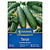 Kiepenkerl Zelenjavna semena Kumara Tanja  (Cucumis sativa, Čas žetve: Julij) | 8127 - Feinsämereien in PG Marke | IBYA - Sämereien | IBY - Sämereien | IB - Grünpflanzen/Sämereien | I - Stadtgarten | BAUHAUS