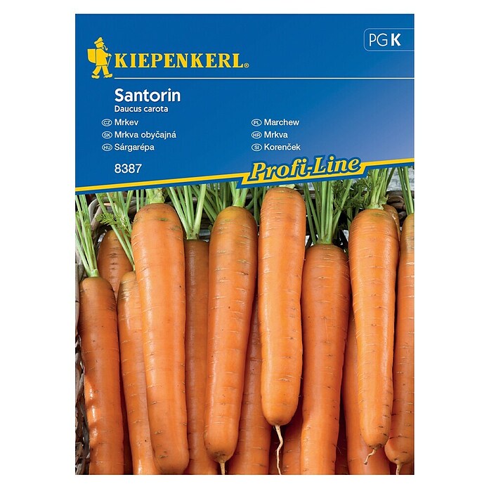 Kiepenkerl Zelenjavna semena Korenje Santorin F1  (Daucus carota subsp. sativus, Čas žetve: Junij) | 8127 - Feinsämereien in PG Marke | IBYA - Sämereien | IBY - Sämereien | IB - Grünpflanzen/Sämereien | I - Stadtgarten | BAUHAUS