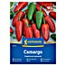 Kiepenkerl Zelenjavna semena Čili paprika Camargo 