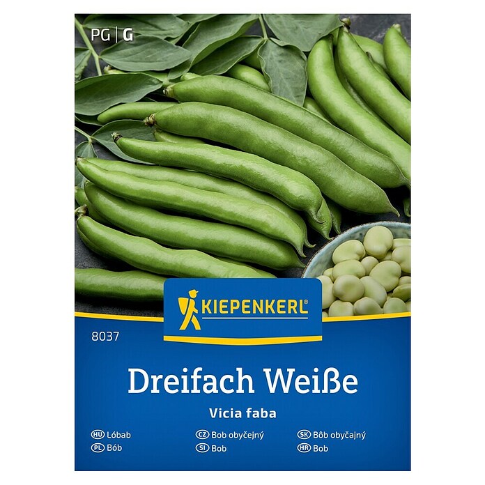 Kiepenkerl Zelenjavna semena Bob Dreifach Weiße  (Vicia faba, Čas žetve: Junij) | 8127 - Feinsämereien in PG Marke | IBYA - Sämereien | IBY - Sämereien | IB - Grünpflanzen/Sämereien | I - Stadtgarten | BAUHAUS