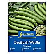 Kiepenkerl Zelenjavna semena Bob Dreifach Weiße  (Vicia faba, Čas žetve: Junij) | 8127 - Feinsämereien in PG Marke | IBYA - Sämereien | IBY - Sämereien | IB - Grünpflanzen/Sämereien | I - Stadtgarten | BAUHAUS