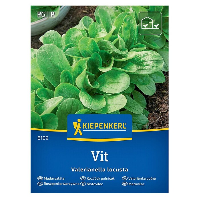 Kiepenkerl Zelenjavna semena Motovilec Vit  (Valerianella locusta, Čas žetve: Januar) | 8127 - Feinsämereien in PG Marke | IBYA - Sämereien | IBY - Sämereien | IB - Grünpflanzen/Sämereien | I - Stadtgarten | BAUHAUS