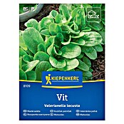 Kiepenkerl Zelenjavna semena Motovilec Vit  (Valerianella locusta, Čas žetve: Januar) | 8127 - Feinsämereien in PG Marke | IBYA - Sämereien | IBY - Sämereien | IB - Grünpflanzen/Sämereien | I - Stadtgarten | BAUHAUS