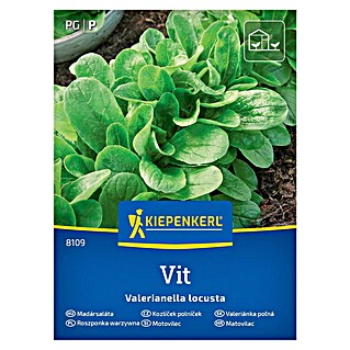 Kiepenkerl Zelenjavna semena Motovilec Vit (Valerianella locusta, Čas žetve: Januar)