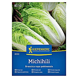 Kiepenkerl Zelenjavna semena Kitajsko zelje Michihili (Brassica rapa subsp. pekinensis, Čas žetve: September)