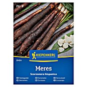 Kiepenkerl Zelenjavna semena Črni koren Meres  (Scorzonera hispanica, Čas žetve: Oktober) | 8127 - Feinsämereien in PG Marke | IBYA - Sämereien | IBY - Sämereien | IB - Grünpflanzen/Sämereien | I - Stadtgarten | BAUHAUS