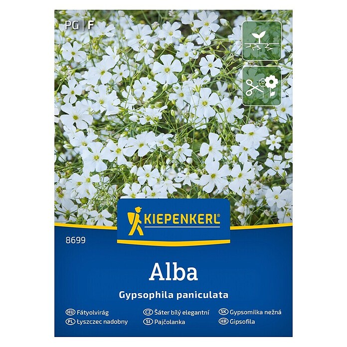 Kiepenkerl Cvetlična semena Pajčolanka Alba  (Gypsophila paniculata, Bela) | 8127 - Feinsämereien in PG Marke | IBYA - Sämereien | IBY - Sämereien | IB - Grünpflanzen/Sämereien | I - Stadtgarten | BAUHAUS