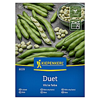 Kiepenkerl Zelenjavna semena Bob Duet (Vicia faba, Čas žetve: Junij)